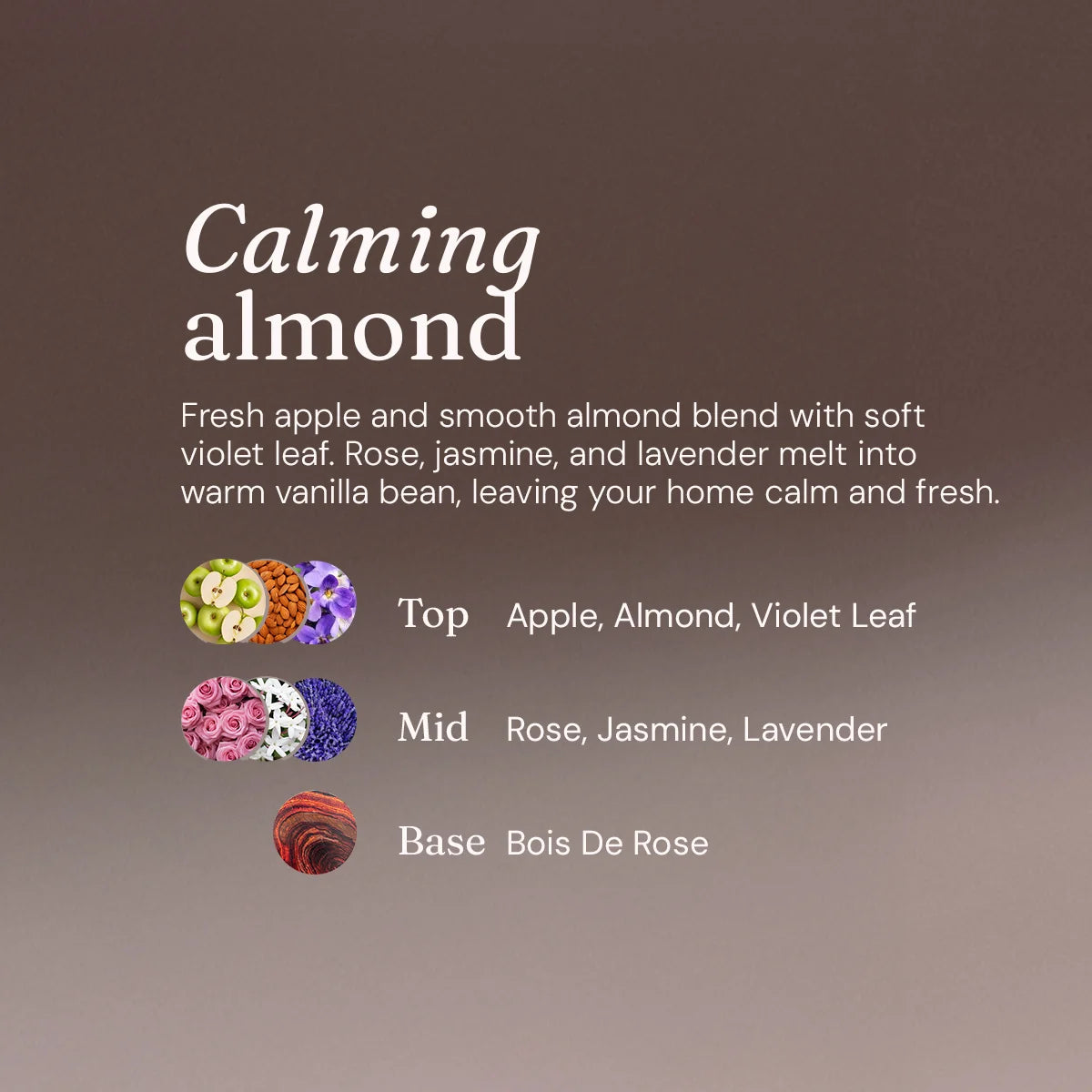Miniml Floor Cleaner - Calming Almond