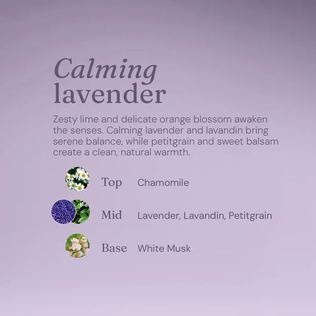 Miniml Bodywash & Bubble Bath - Calming Lavender