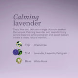 Miniml Bodywash & Bubble Bath - Calming Lavender